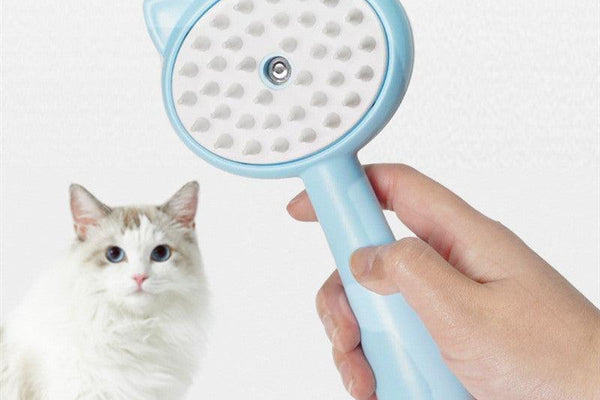 Cat Grooming Tips and Tricks: Maintaining Your Cat’s Coat, Teeth, and Claws