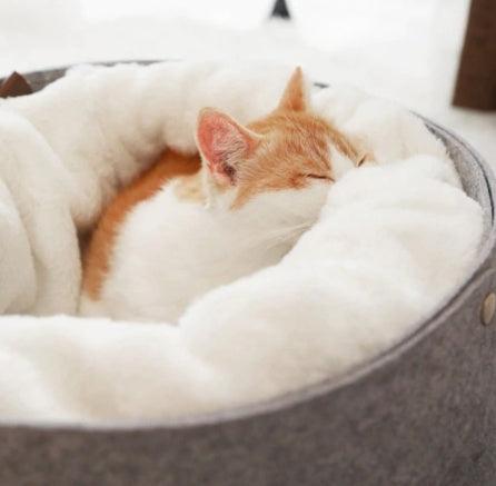 Cozy cat bed with detachable inner nest