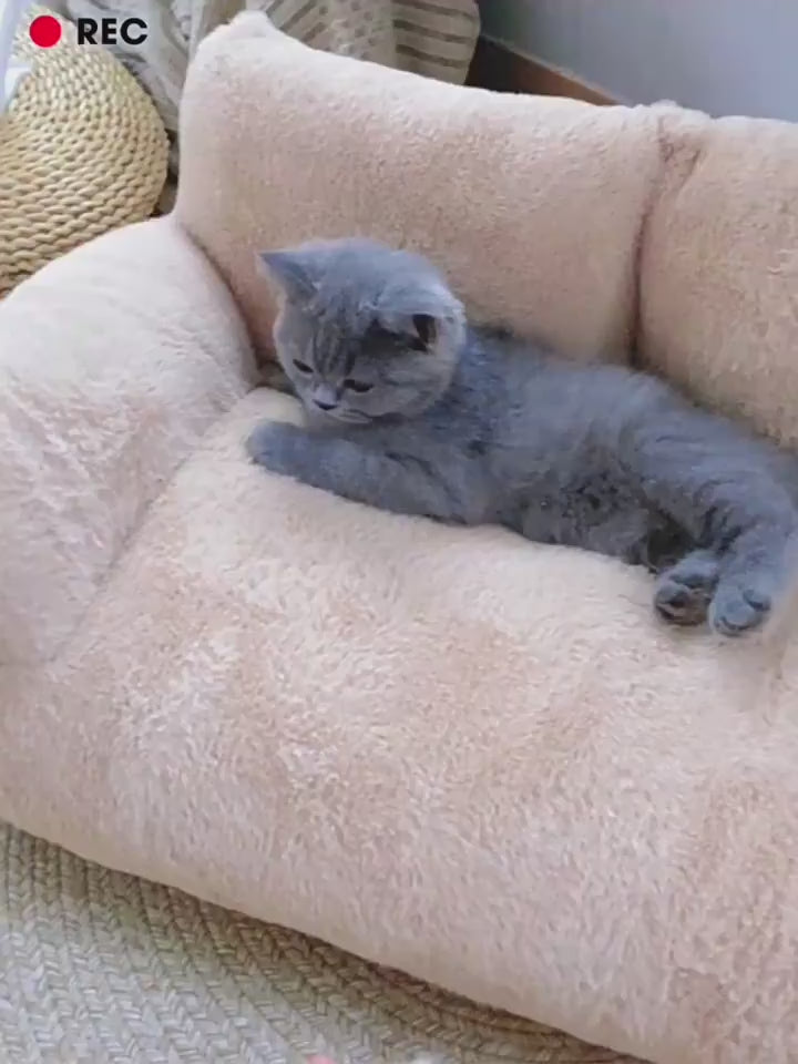 Luxury Cats Sofa Bed - Plush & Stable